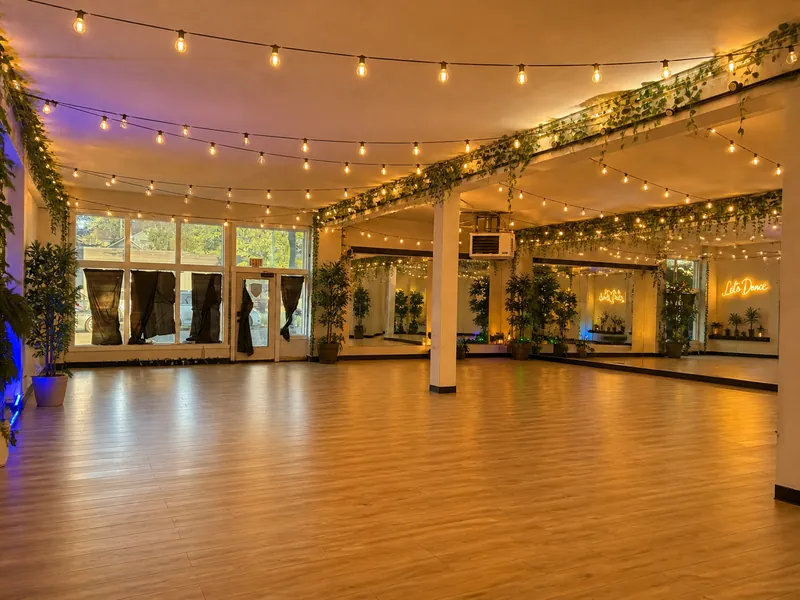 Finished dance studio with a warm wood-look floor, string lights, plants along the beams and mirrors on the far wall